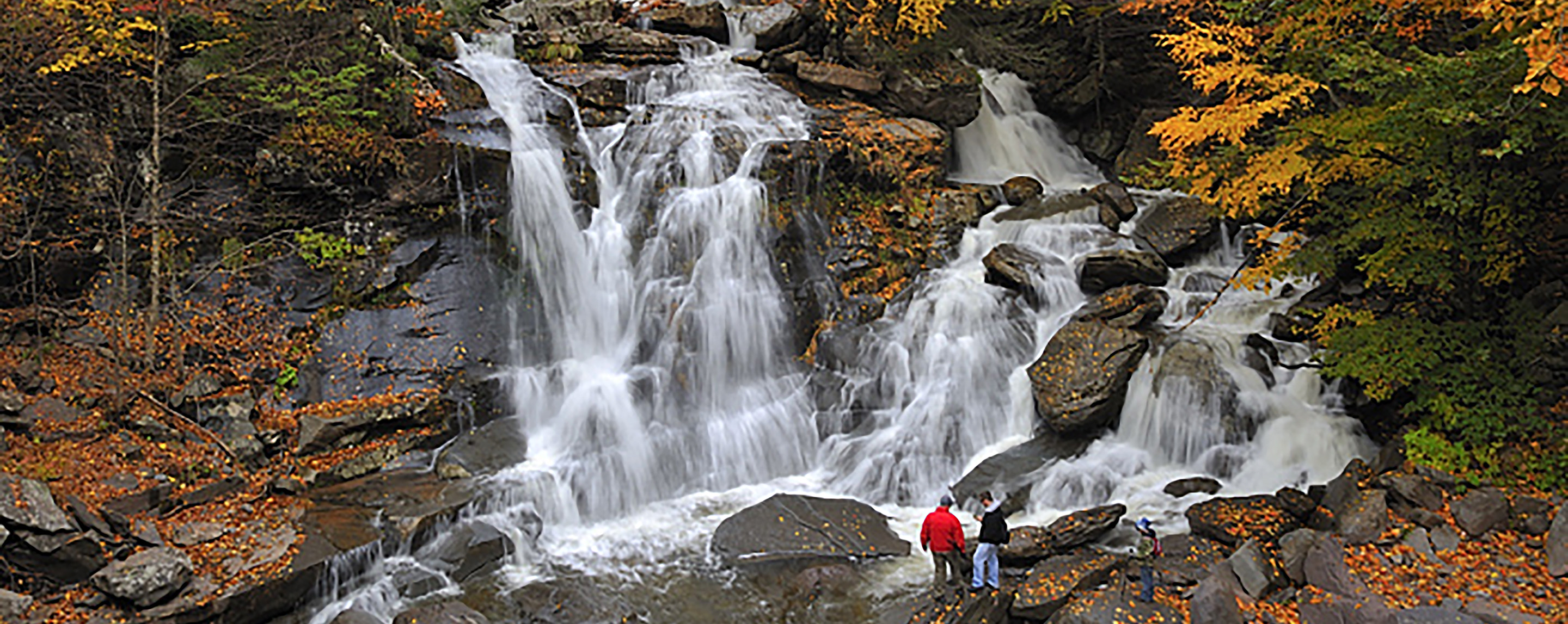 Things to do in Catskill, N.Y.: See world famous painter's works <  LUMBERYARD