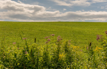 Embought Road, Catskill, N.Y.